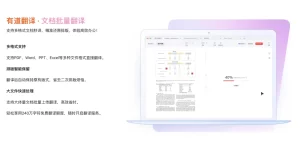 有道翻译官方下载与商店版差异详解？